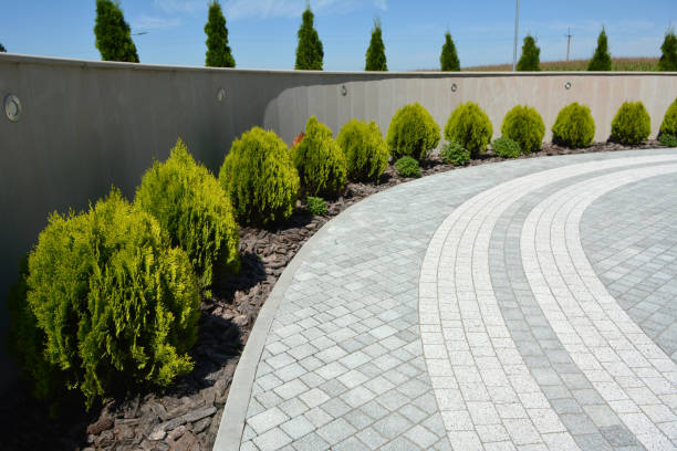 Reasons to Select Us for Your Driveway Paving Requirements in Dundee, OR